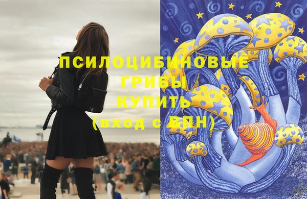 ECSTASY Беломорск